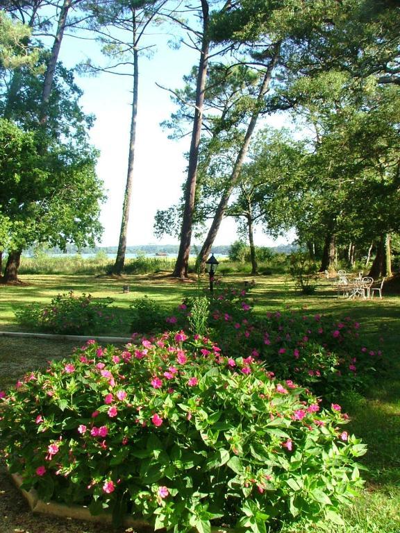Villa De L'Etang Blanc Сеньос Экстерьер фото